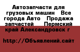Автозапчасти для грузовых машин - Все города Авто » Продажа запчастей   . Пермский край,Александровск г.